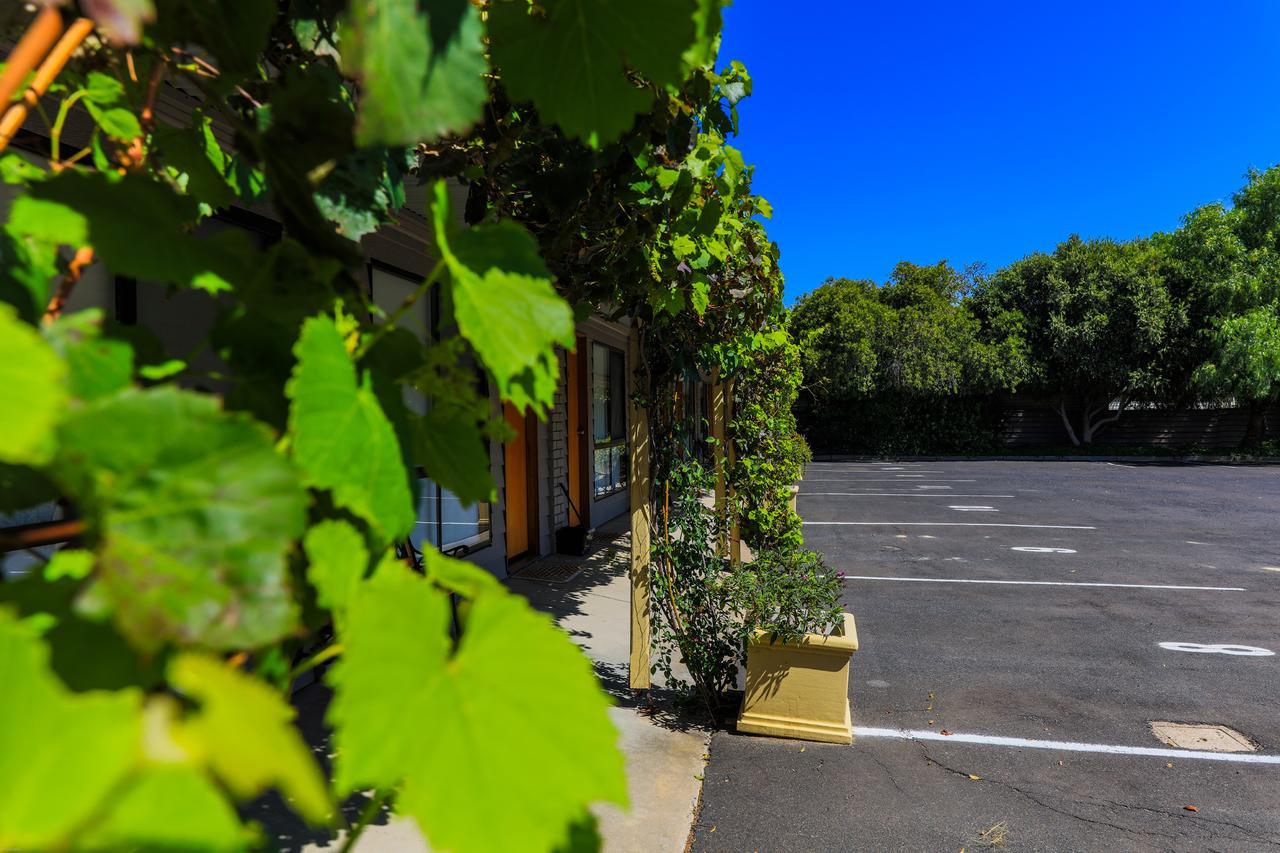 Country Roads Motor Inn Naracoorte Eksteriør billede
